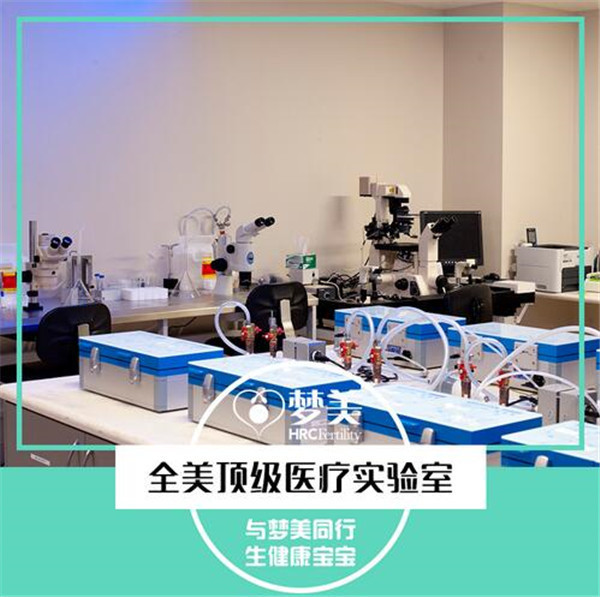 高端的胚胎实验室