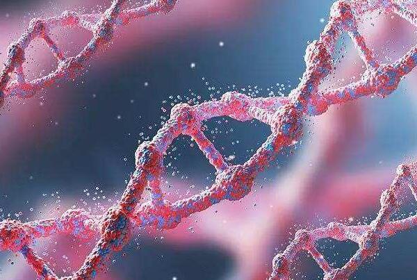 染色体DNA