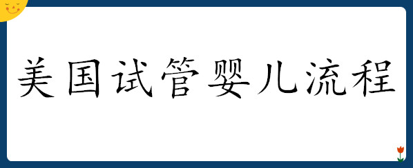 美国试管婴儿流程