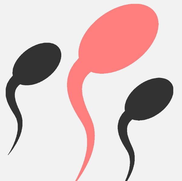 精子