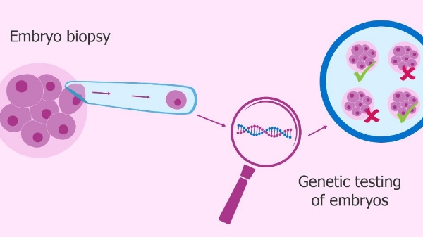 囊胚基因检查