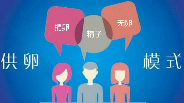 试管