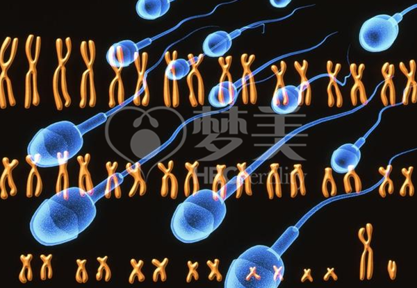 精子