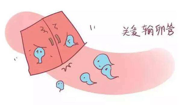 输卵管堵塞