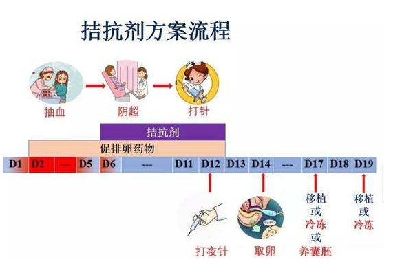 拮抗剂药物