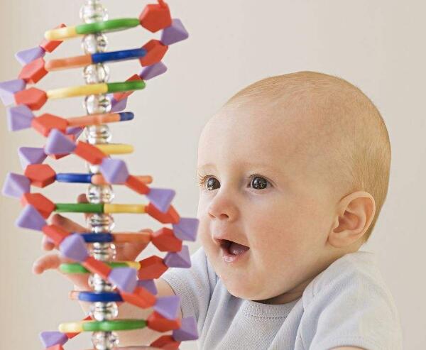 宝宝基因筛查