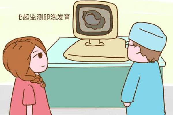 监测卵泡.jpg