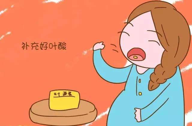 叶酸.jpg
