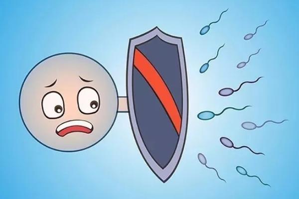 抗精子抗体