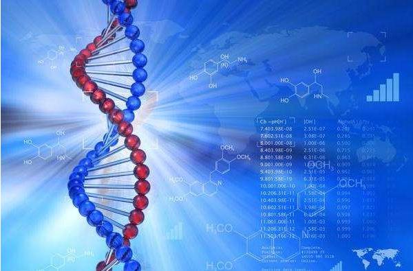 美国第三代试管婴儿技术