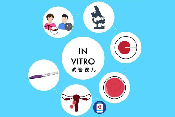 美国试管技术