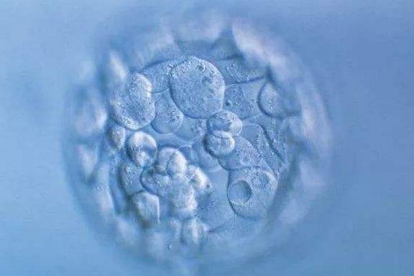 胚胎碎片率.jpg