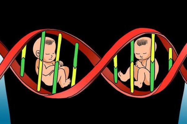 宝宝遗传基因