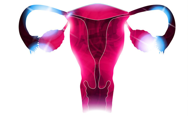 女性卵巢功能