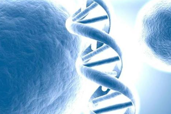 促排取卵和基因检测.png
