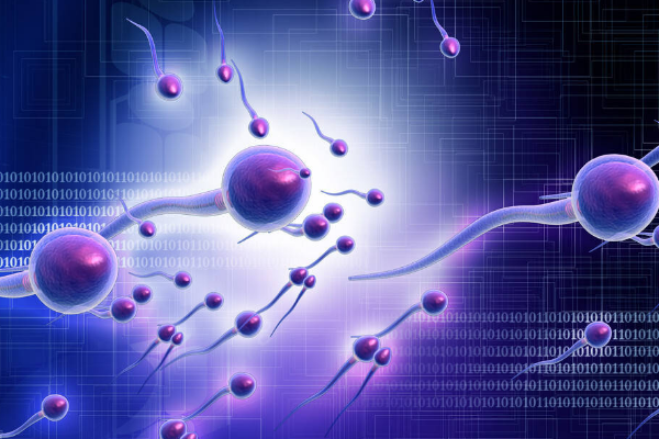 男性精子质量