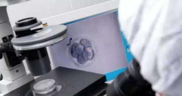 胚胎培育设备
