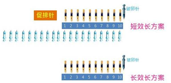 试管长方案与短方案