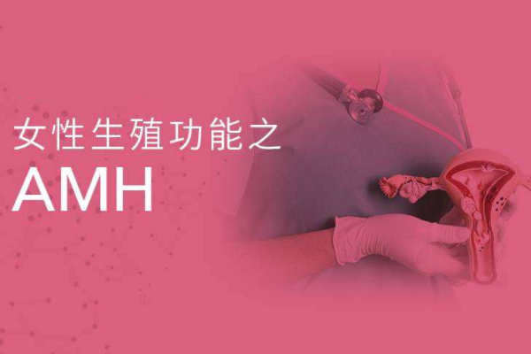 amh值