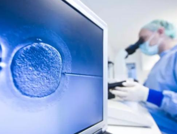 囊胚基因检测