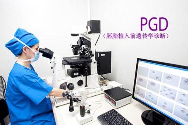 PGD基因诊断技术