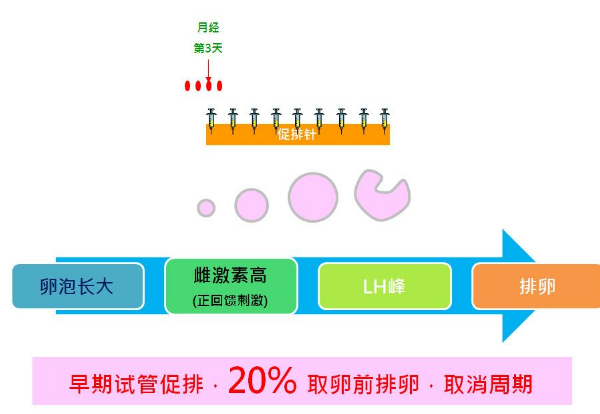 美国试管婴儿拮抗剂促排方案