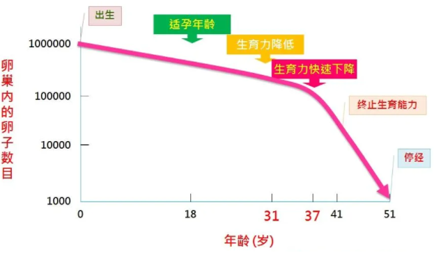 女性年龄对生育的影响