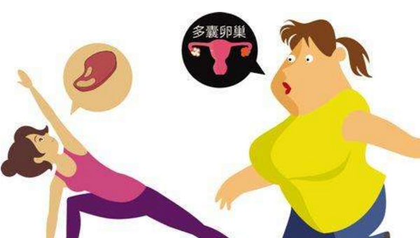 女性肥胖对卵巢的影响
