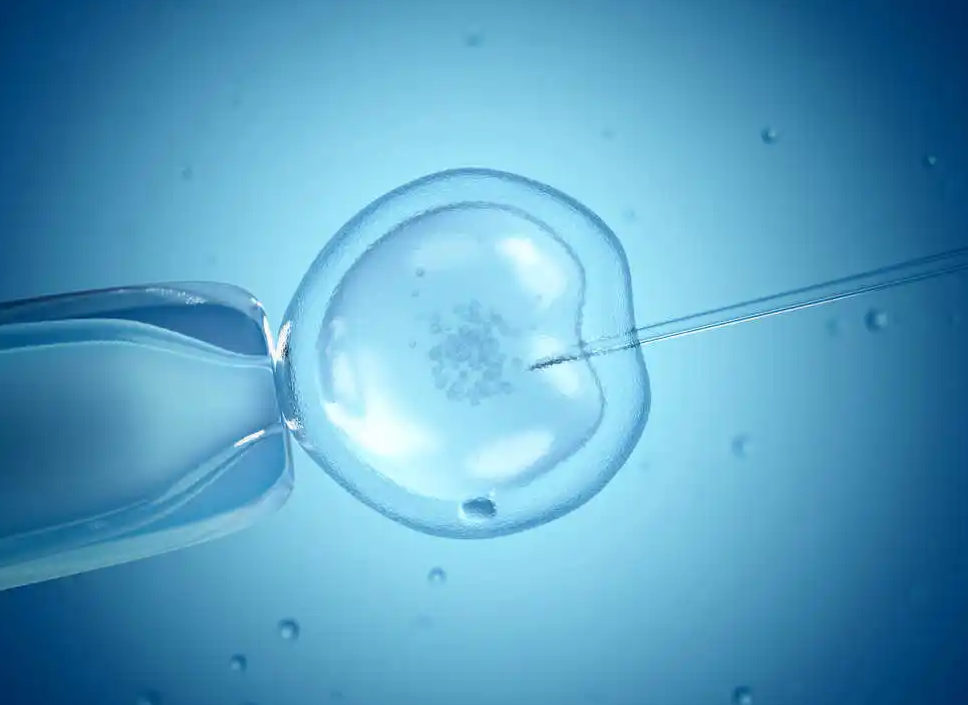 单精子注射技术