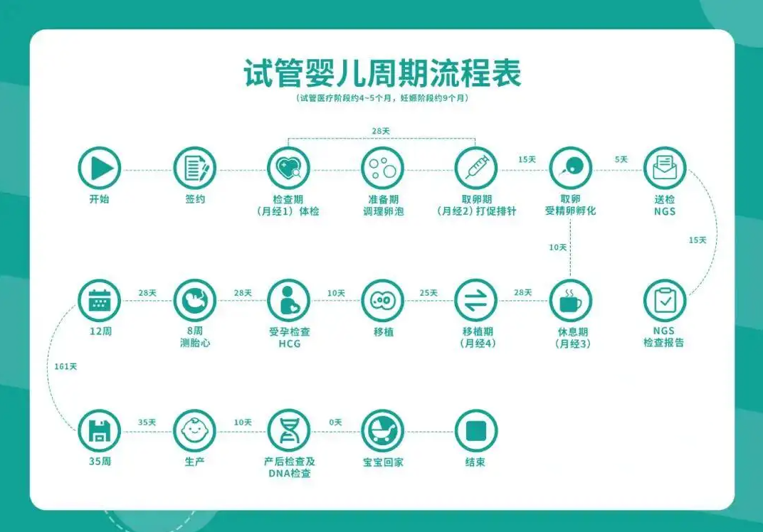 试管婴儿流程