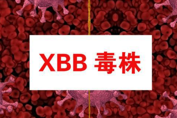 XBB毒株