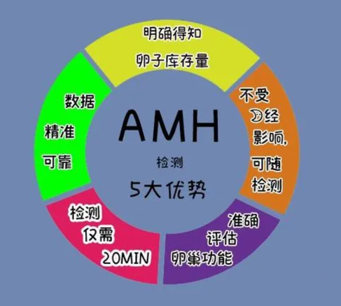 AMH 检查