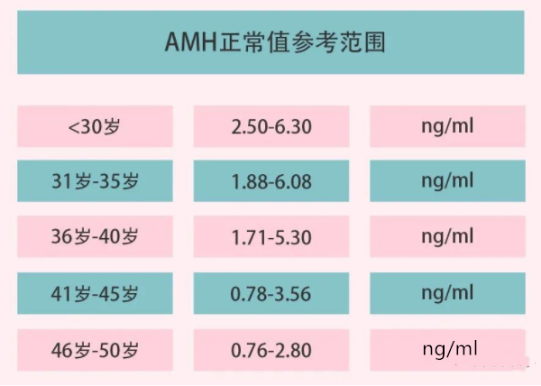 AMH是抗缪勒氏管激素