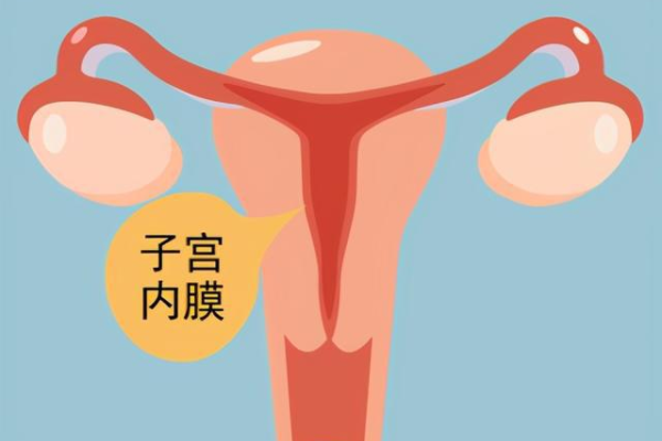 调养子宫内膜