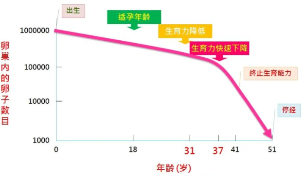 女性生育力下降