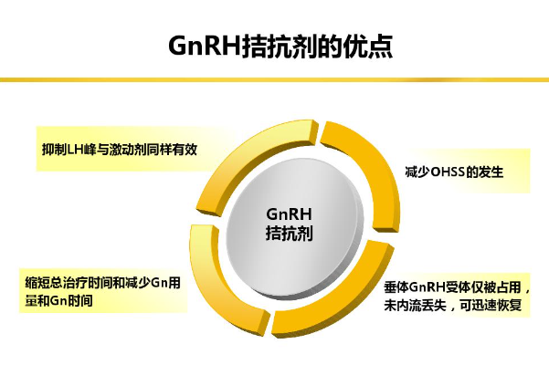 拮抗剂方案