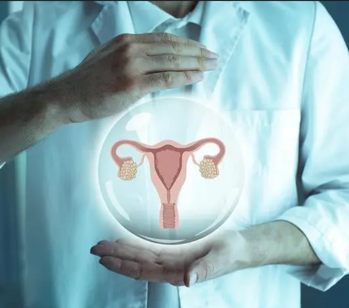 子宫内环境检查