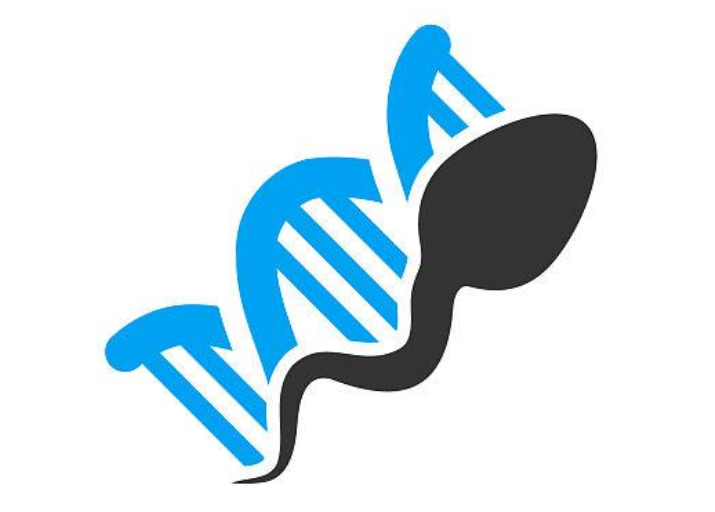 精子dna