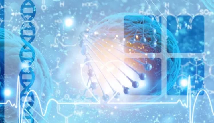 第三代试管婴儿