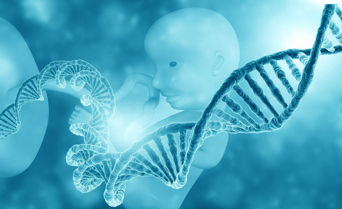 第三代试管婴儿技术