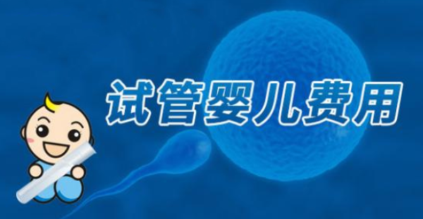 试管婴儿费用