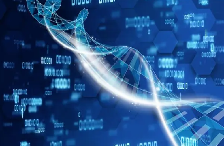 美国第三代试管婴儿技术