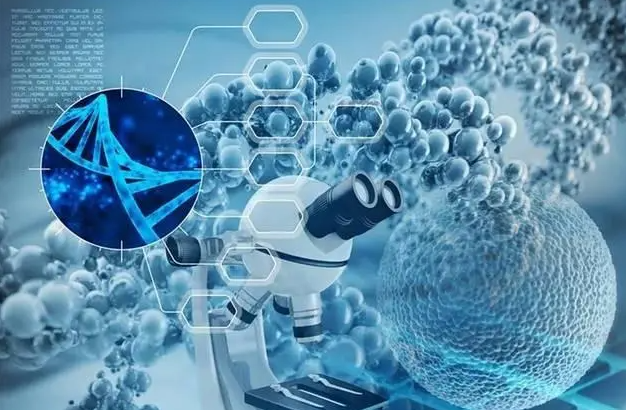 第三代试管技术