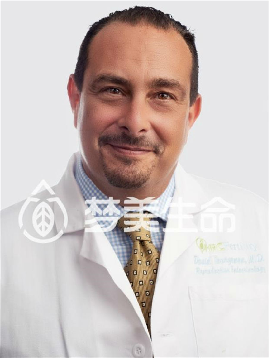 美国试管婴儿专家