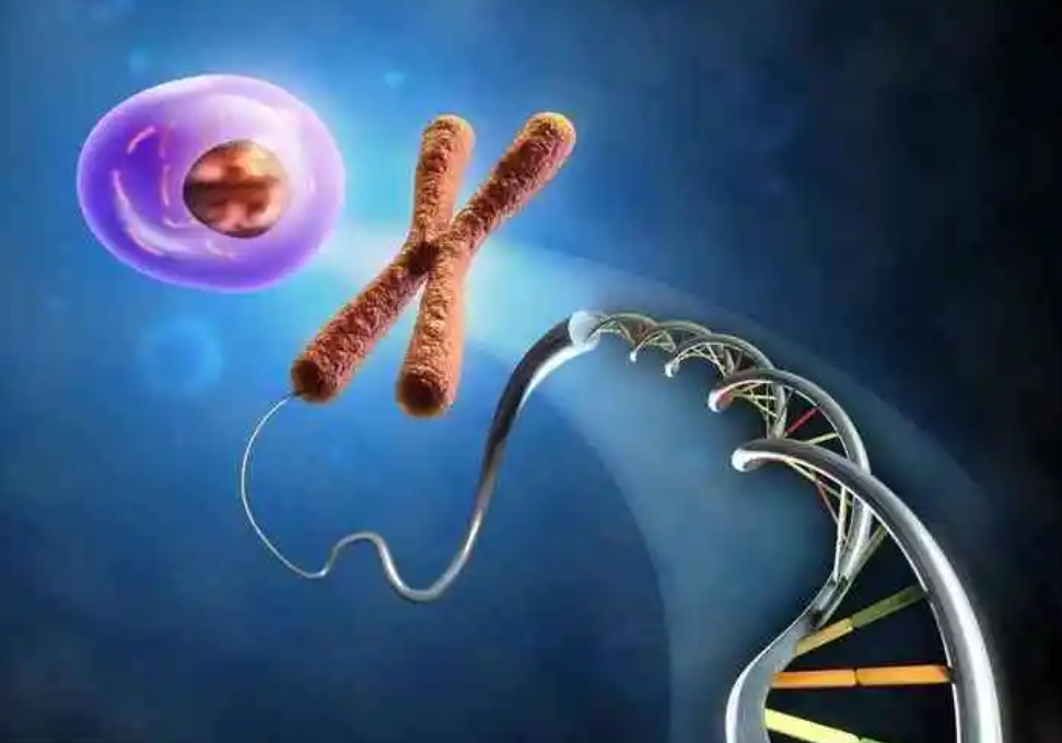 胚胎发生染色体异常