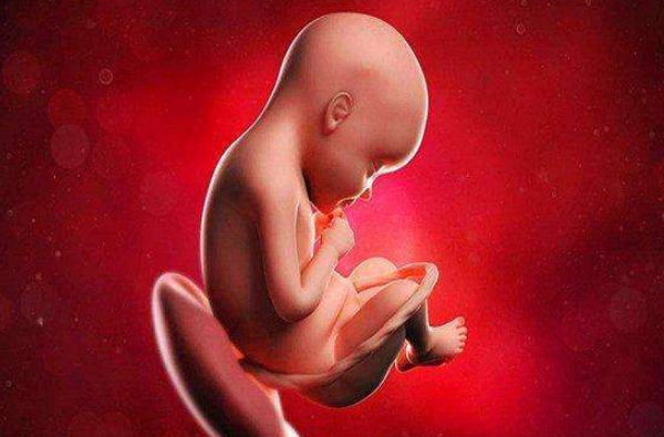 胎儿生长受限