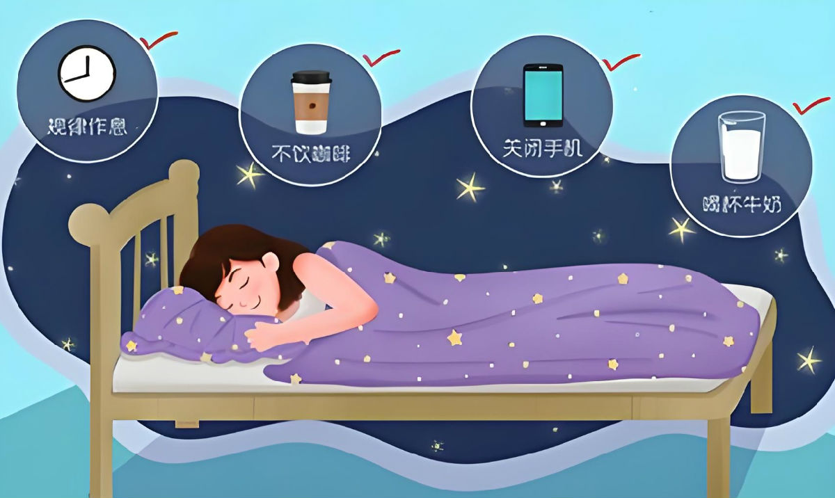 规律作息