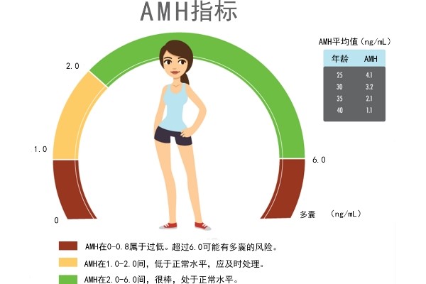 amh值