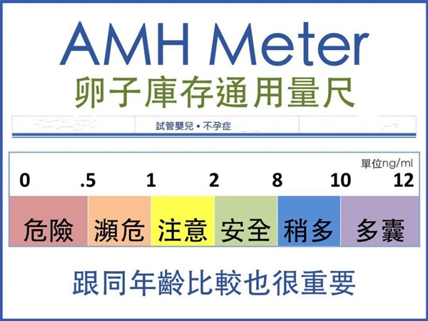 amh值