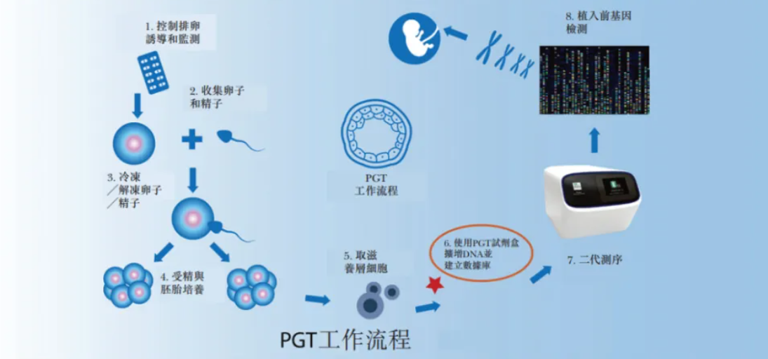 pgt基因检测流程